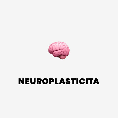 Co je to Neuroplasticita a jak ji využít ve svůj prospěch?